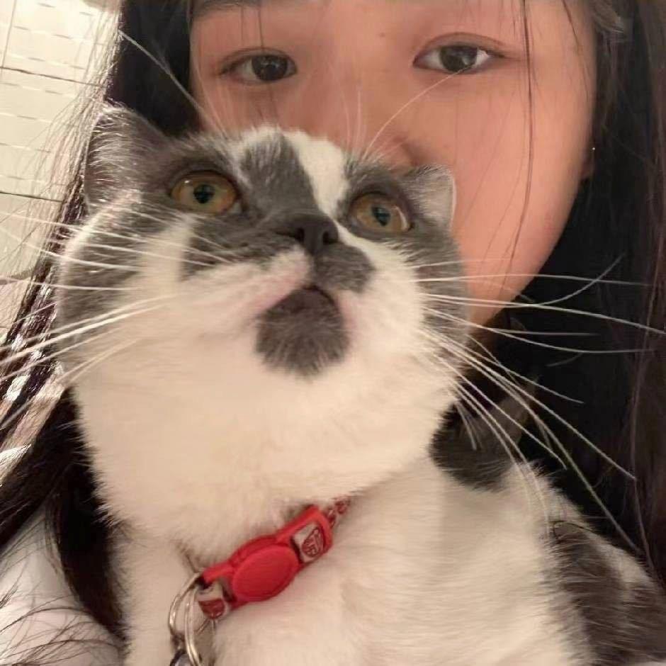 卷发筒女王
