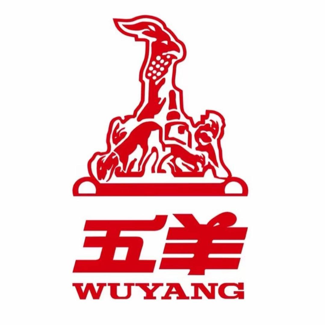 五羊电动车工厂