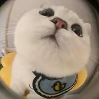 小路小路（王者荣耀）