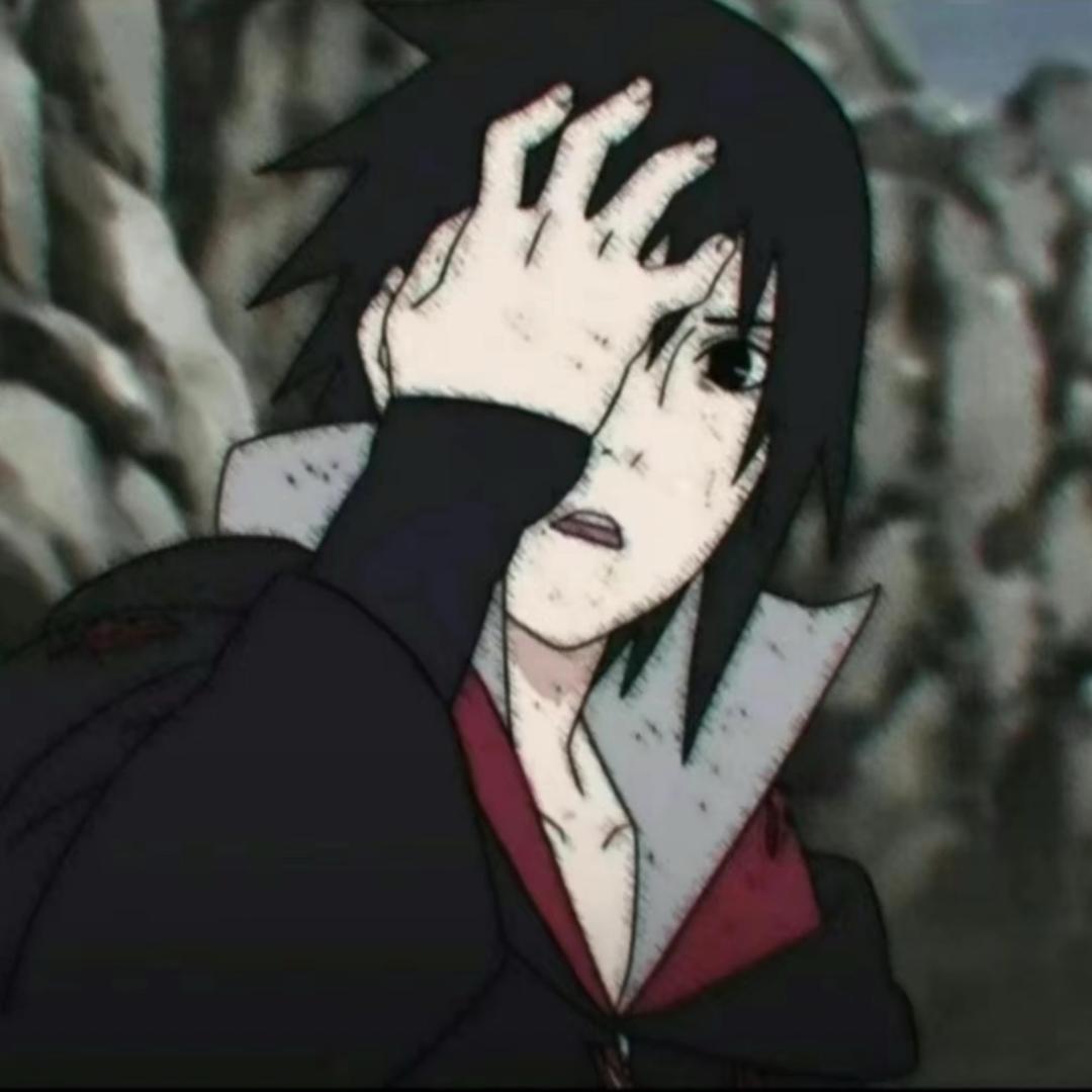 懿q