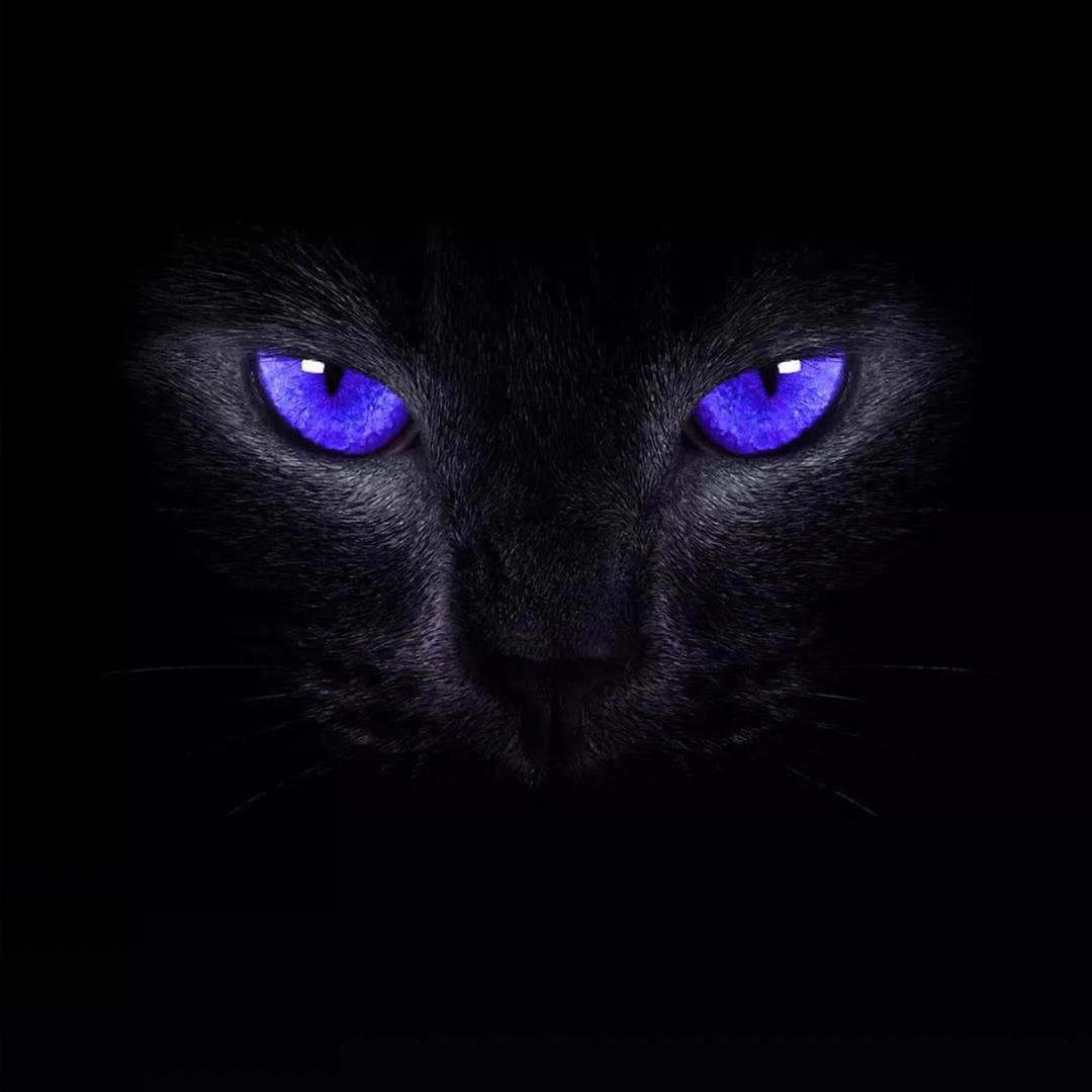 路氏修脚足疗官方号