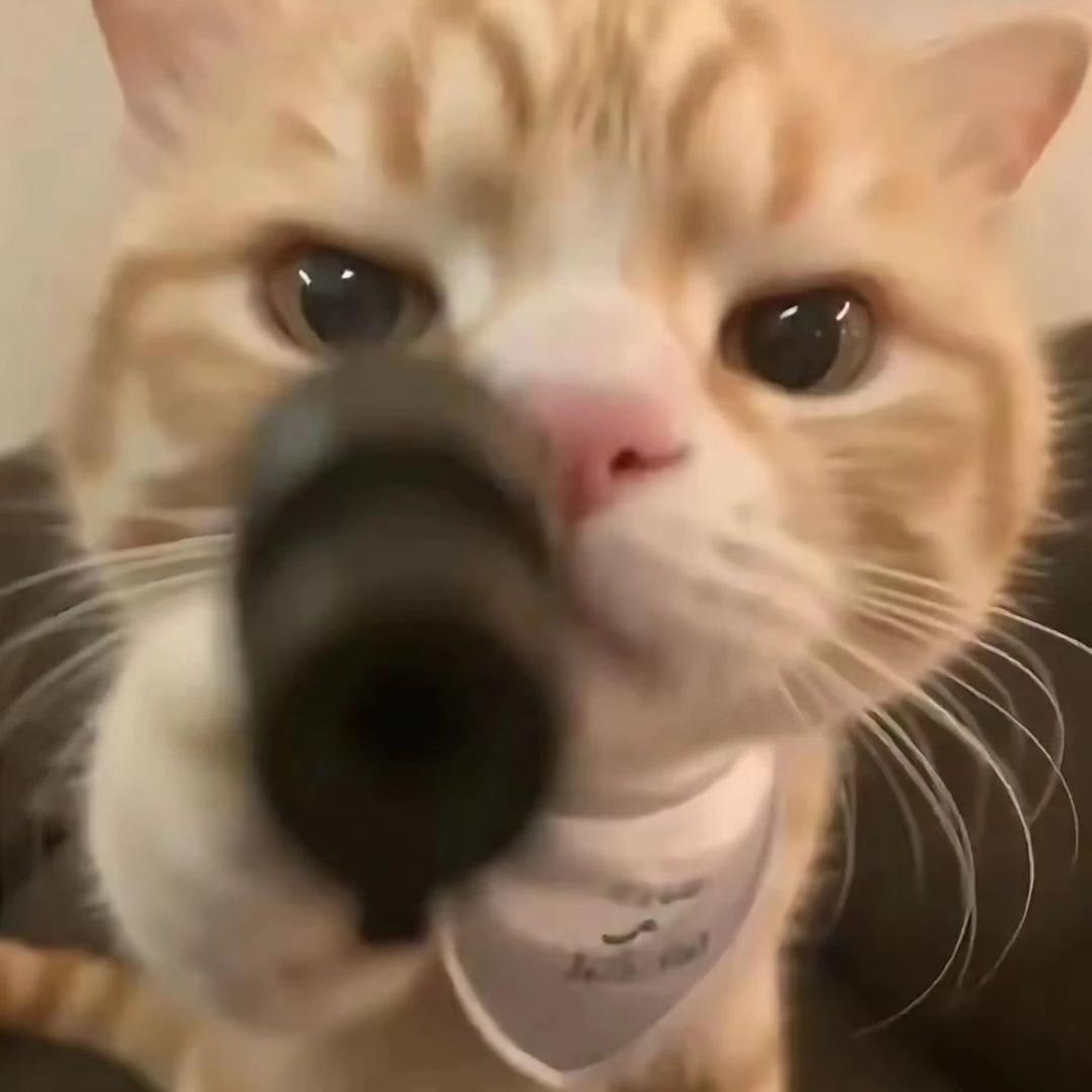 你看什么看