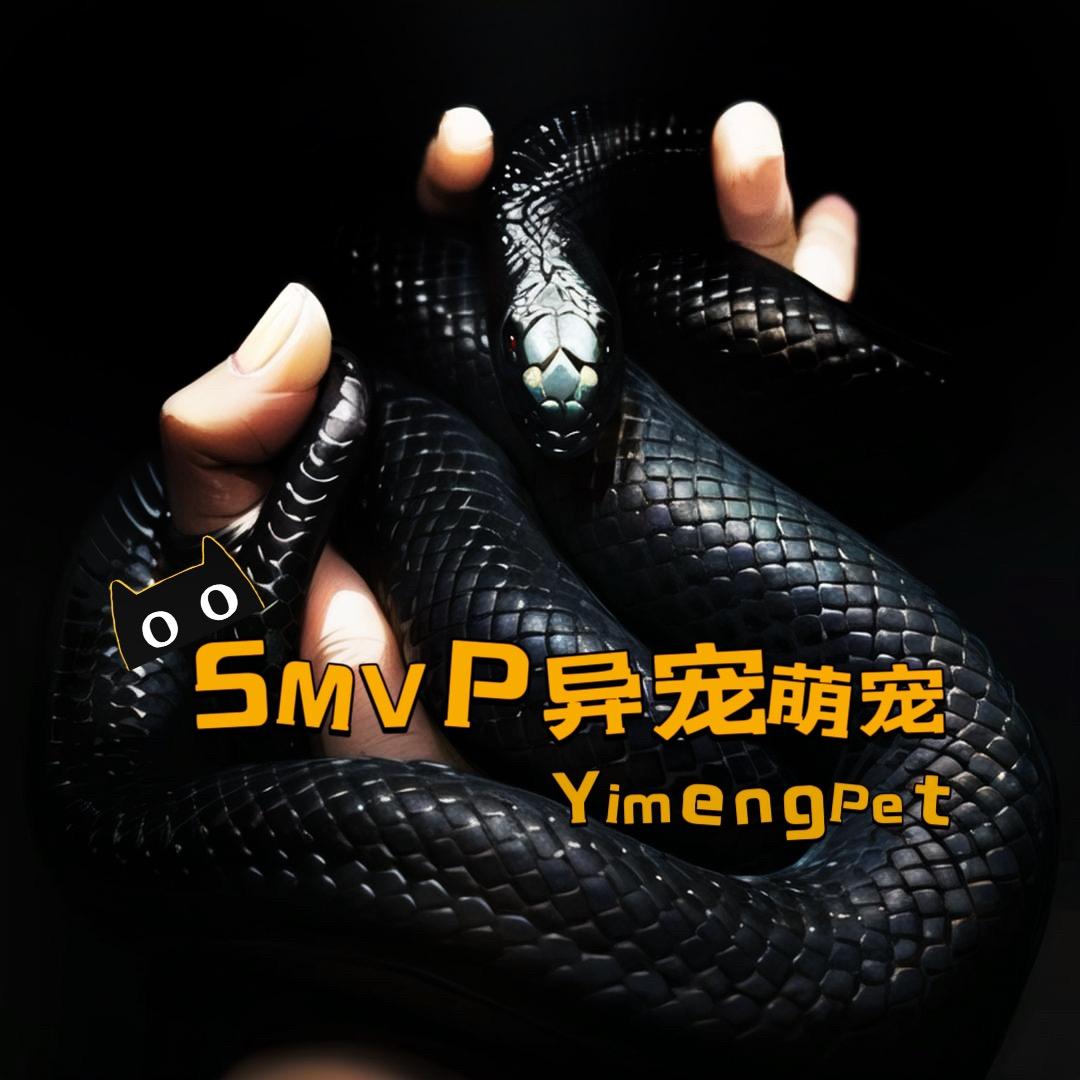 SMVP异萌宠集