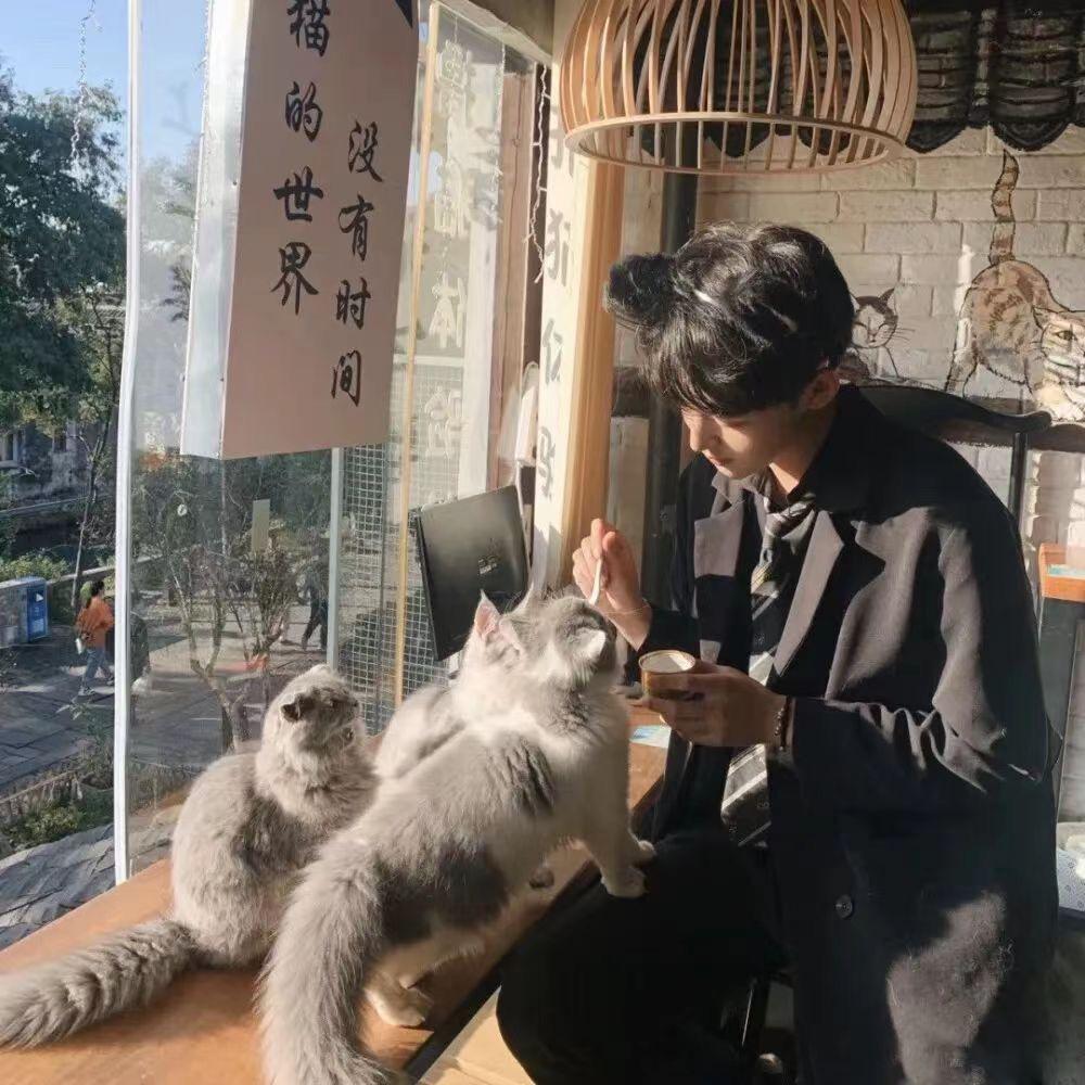 养乐多丶