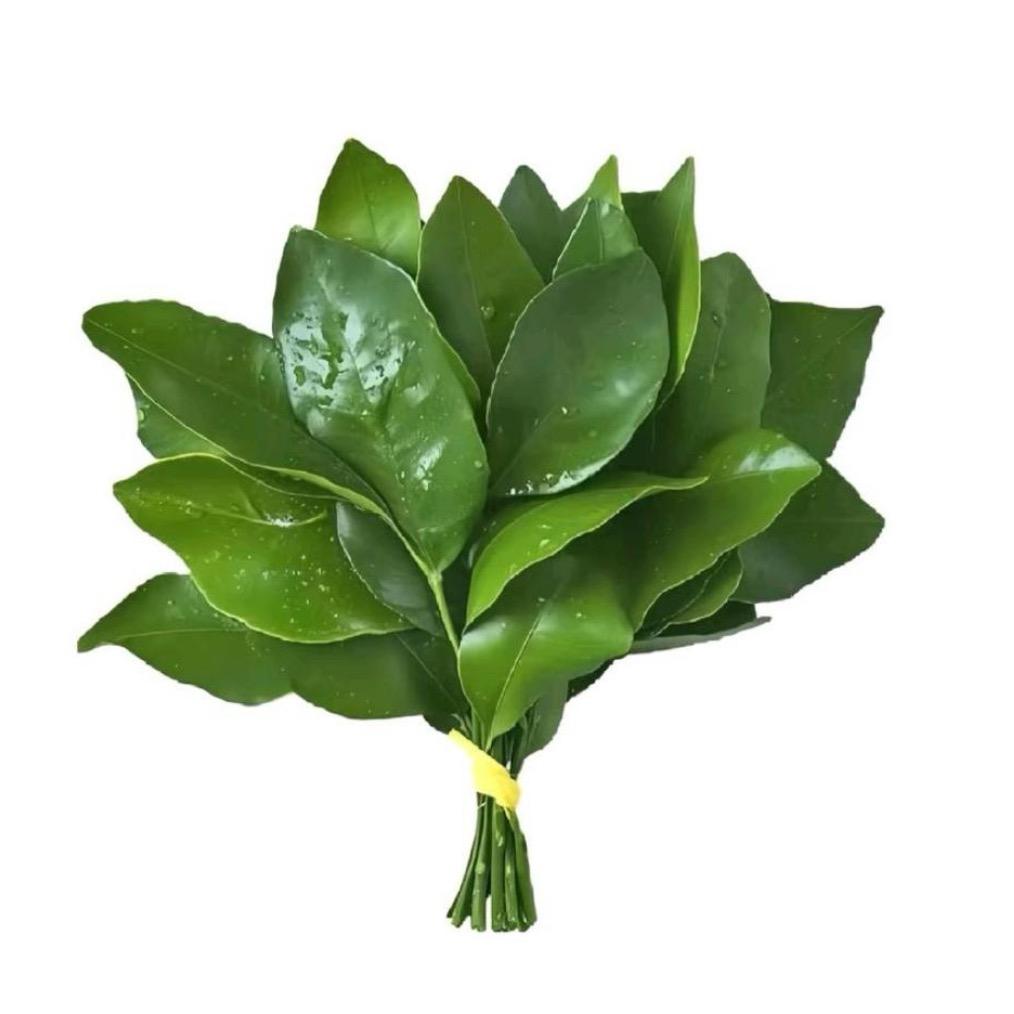 睡觉的时候不困