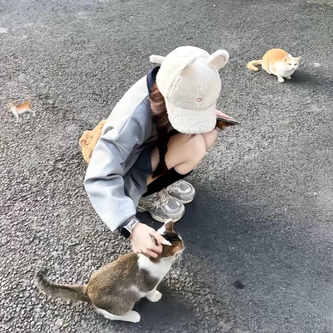 呃呃呃.