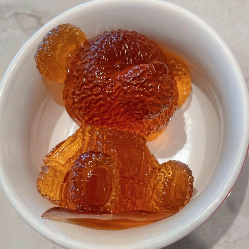 一棵树的森林