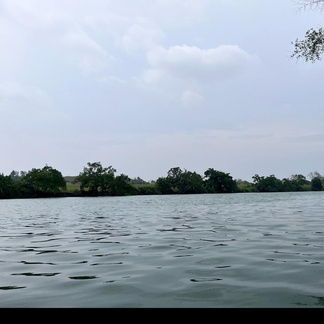 以租代购-解决用车难题