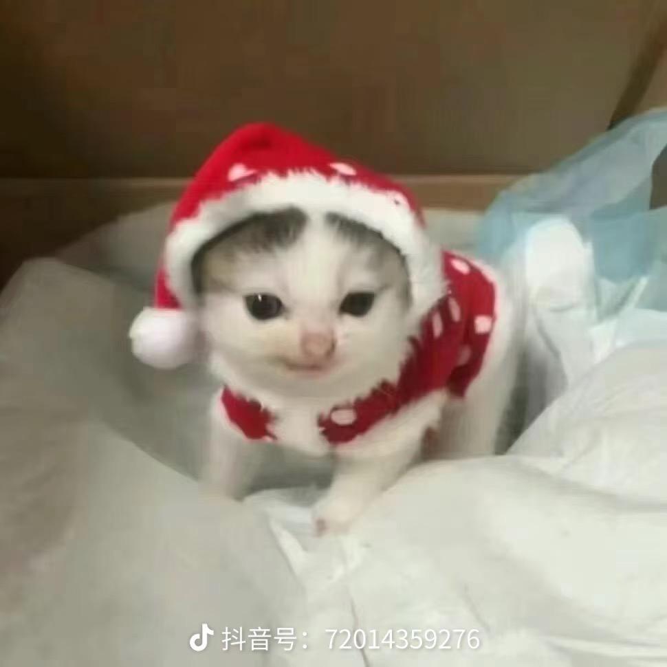 兮瑶瑶