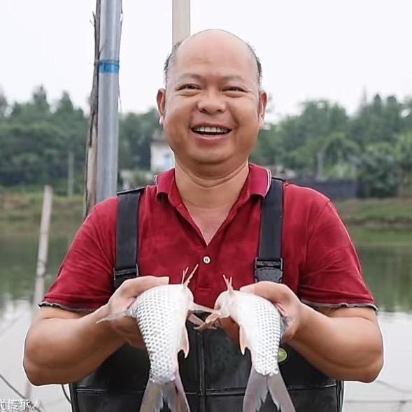 顺德鱼干树哥