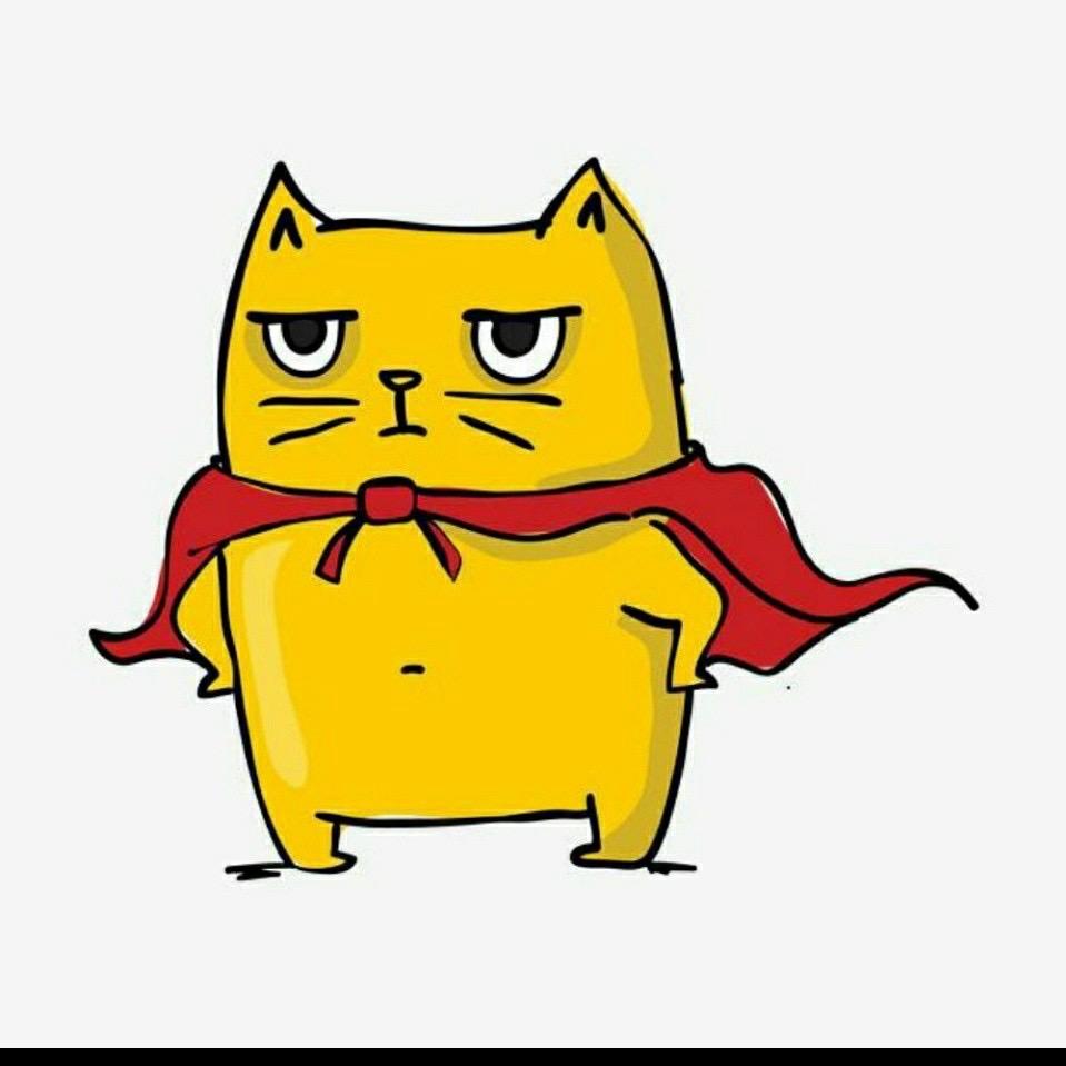 绝版小飞猫