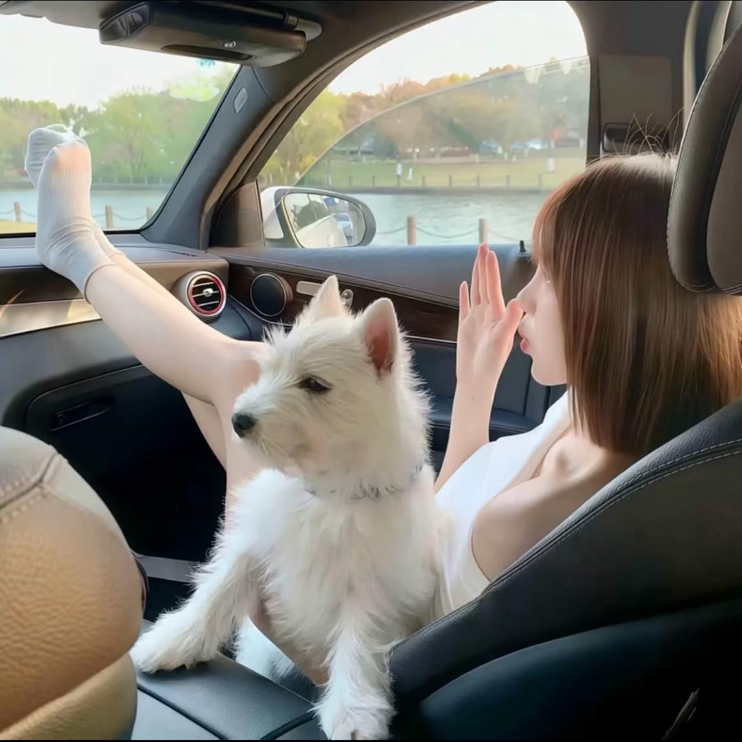 诗诗诗诗
