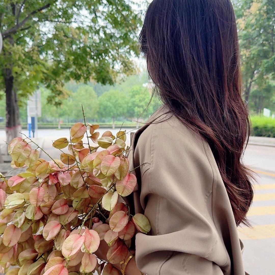 L（橱窗有好物）