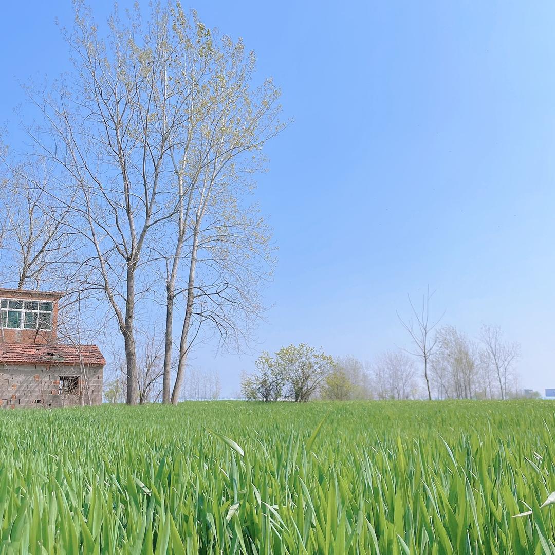 一份记忆待删除