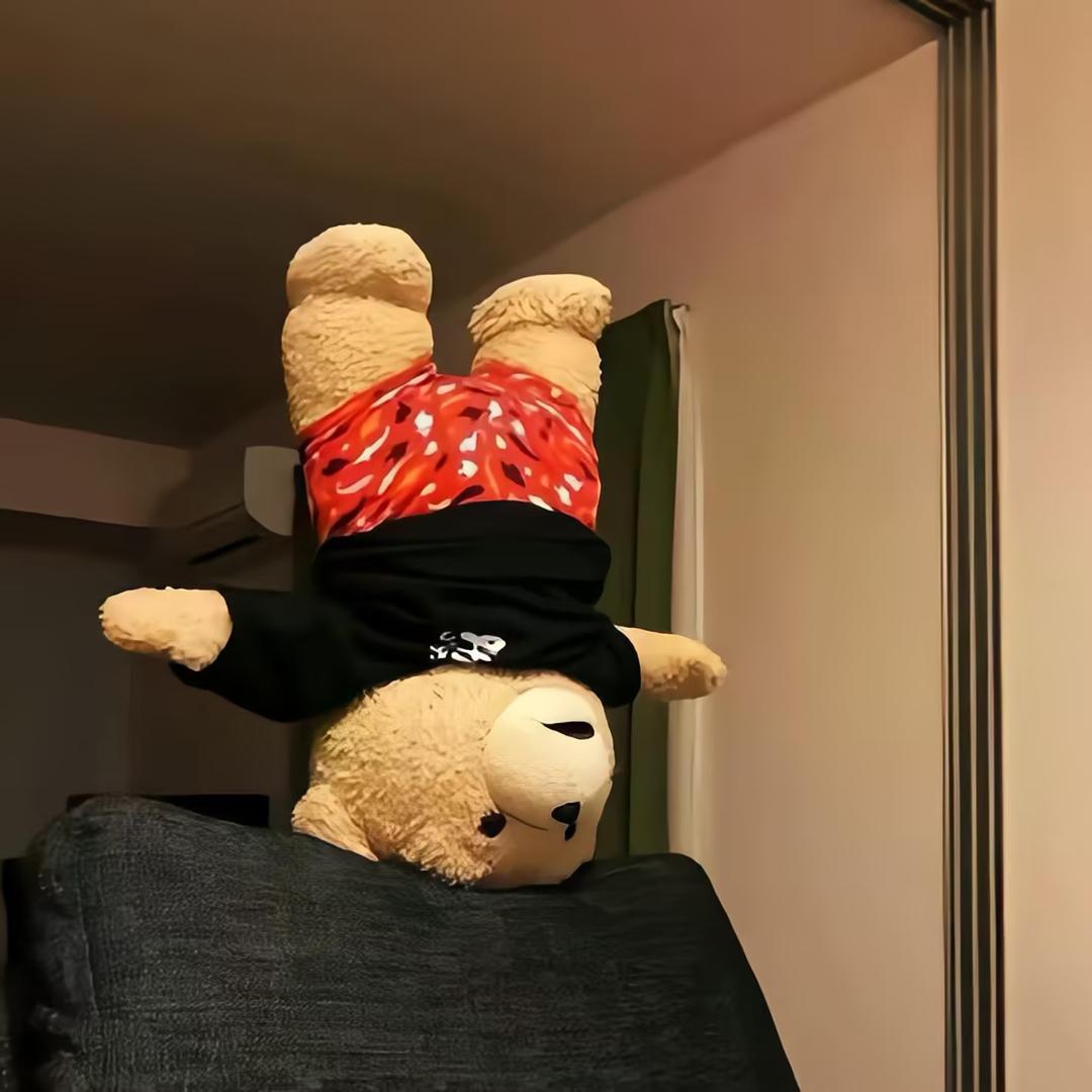 灯下猫.