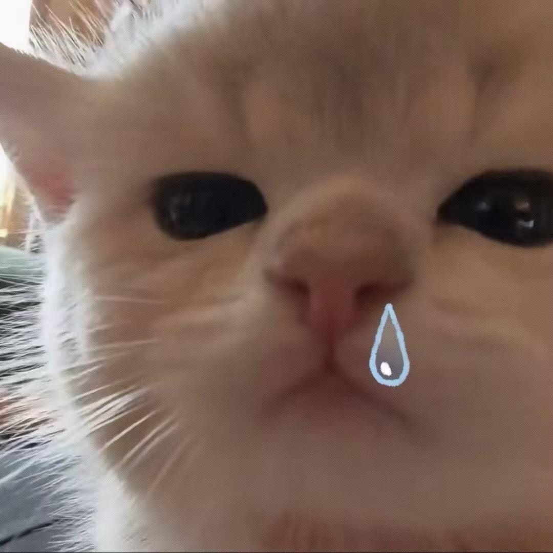 多多1mo