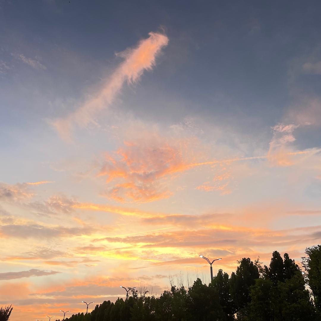 盆景🪴艺术作品中心