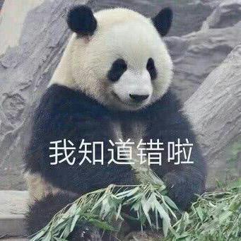 一加一等于