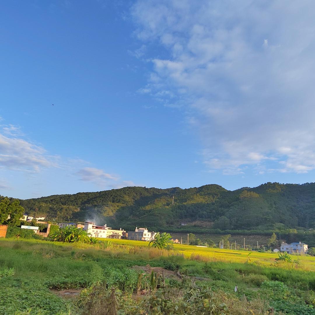 兰兰加油