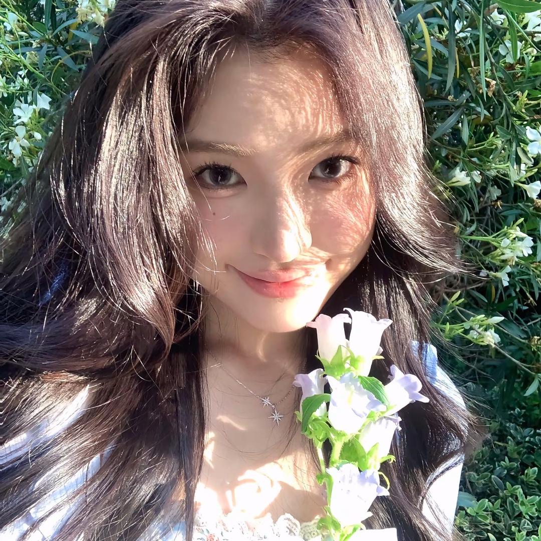 圆圆的家🏠（软装中）