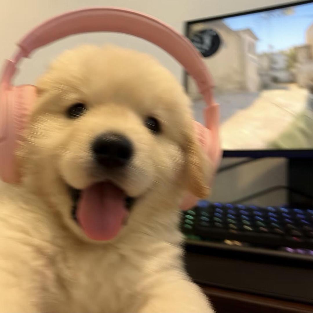 衡king（三角洲行动）