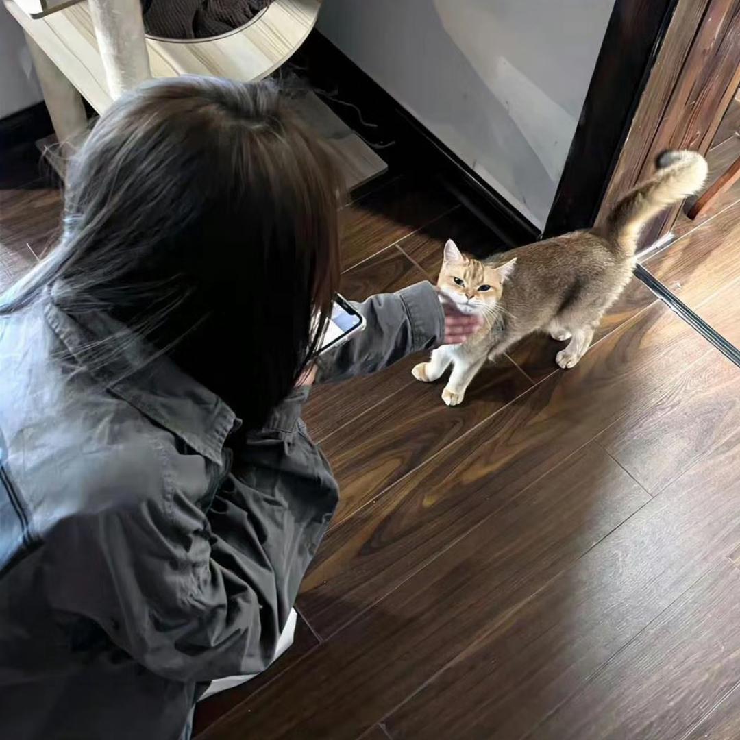 今天吃饭了嘛