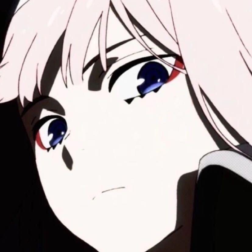 屁屁了了