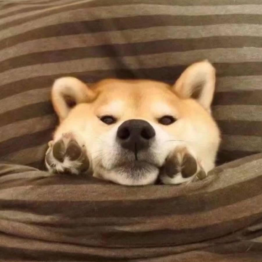 山山唯落晖