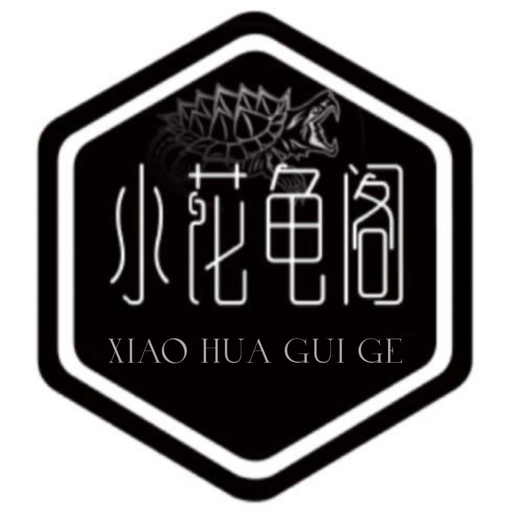 小花龟阁大鳄龟（全国收龟）