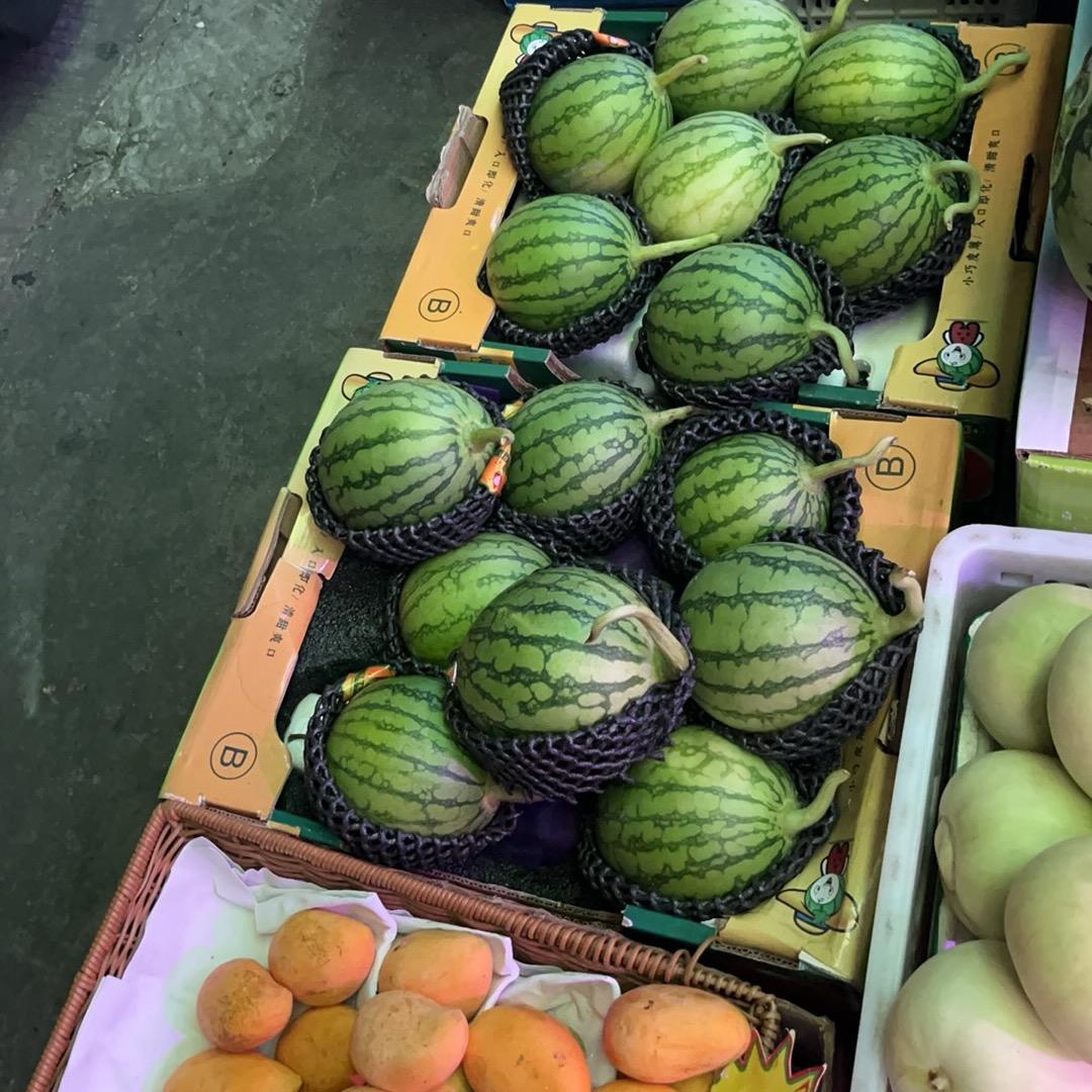 丑小鸭