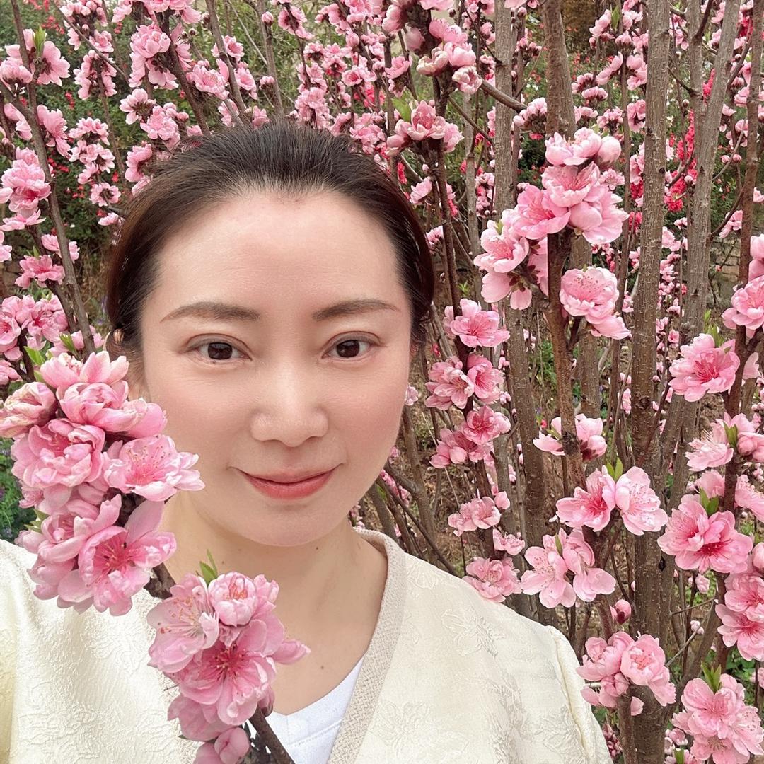 灵芝