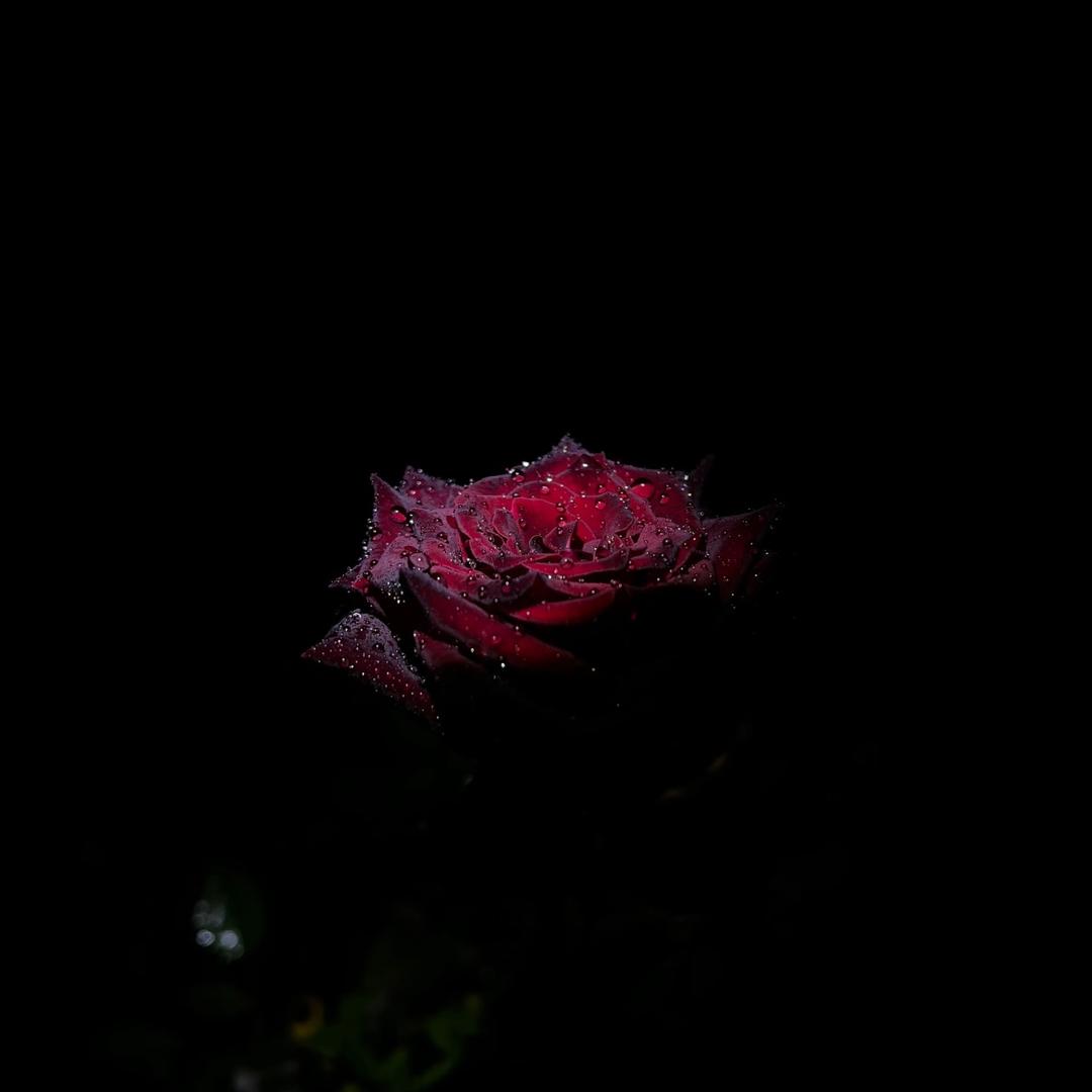 Ꮤ .