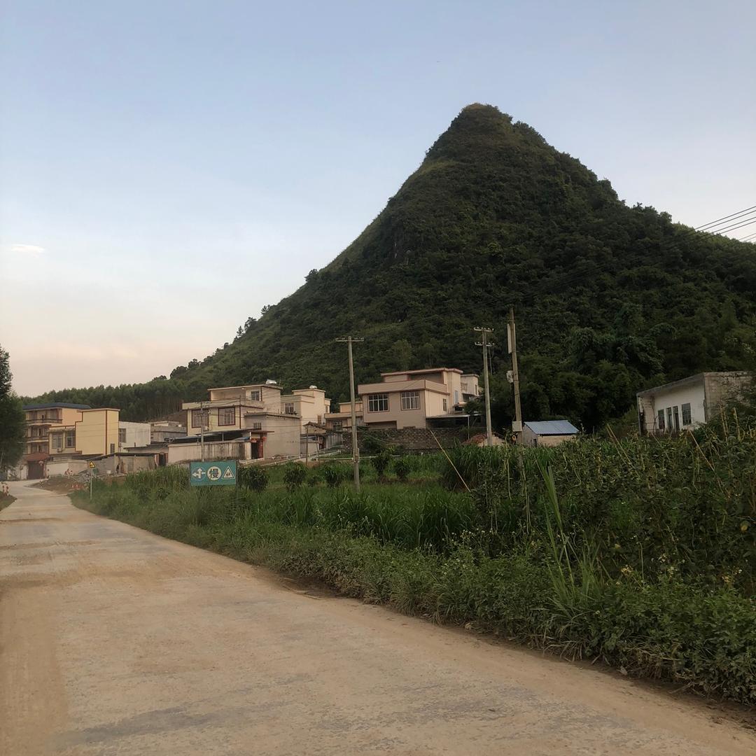 小白虎