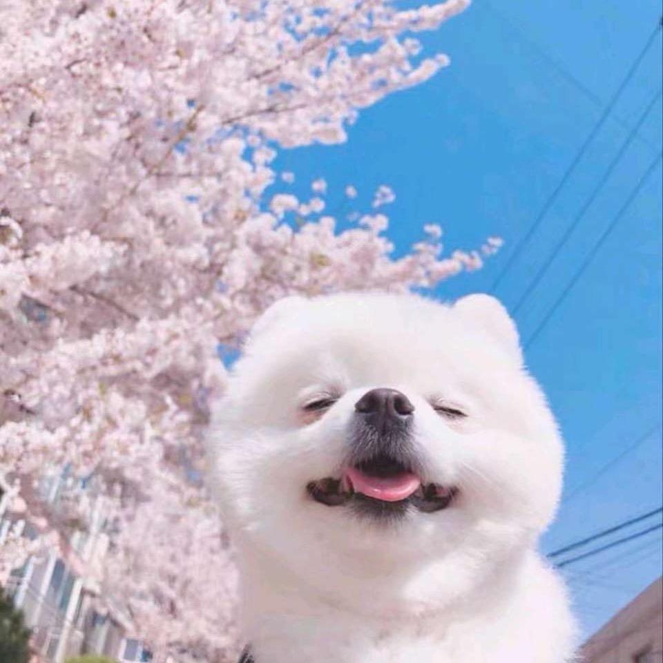 折春