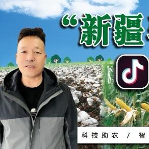 新疆马哥