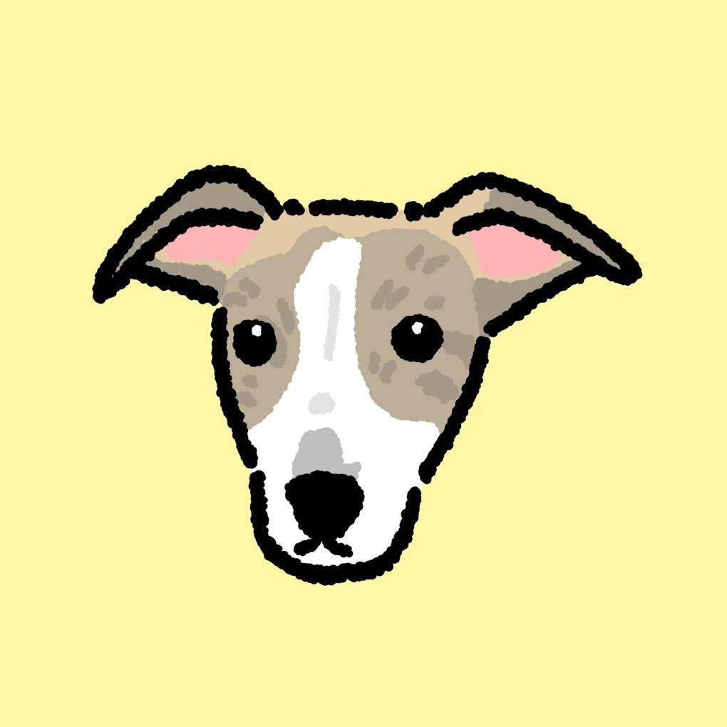 条条是条惠比特