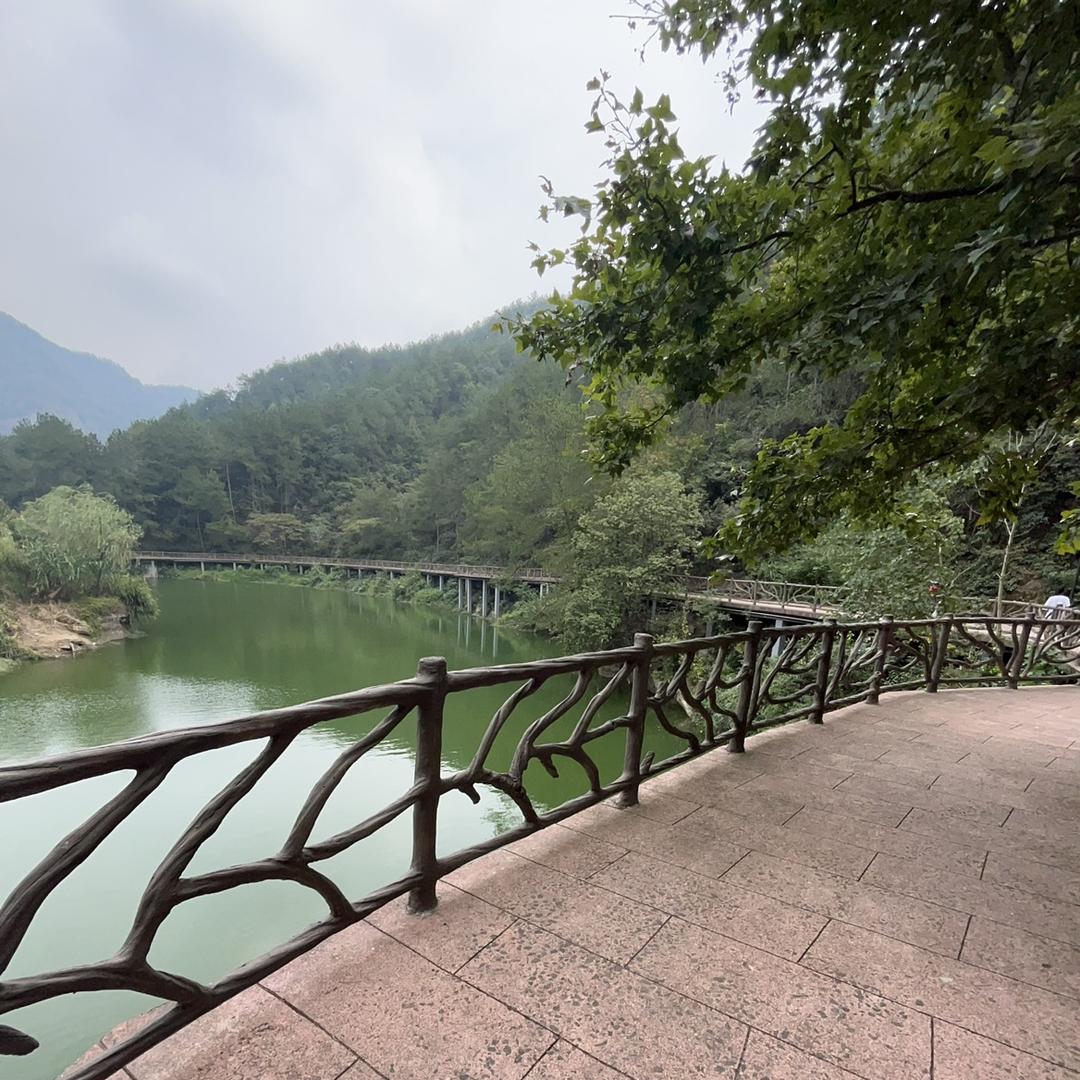 随风飘扬
