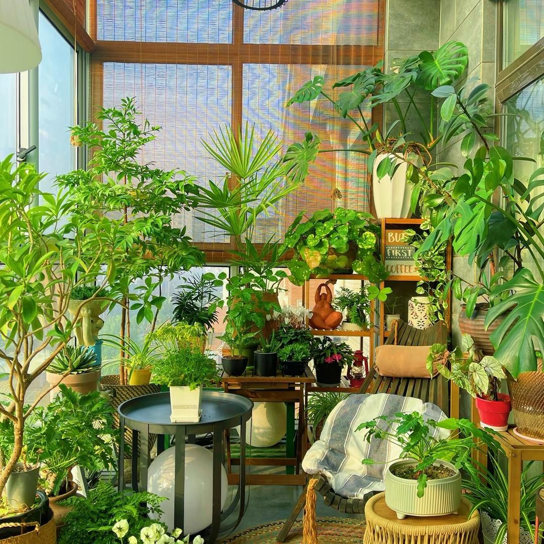 8号店
