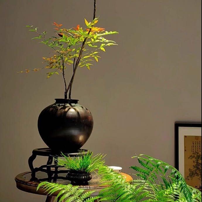 山涧