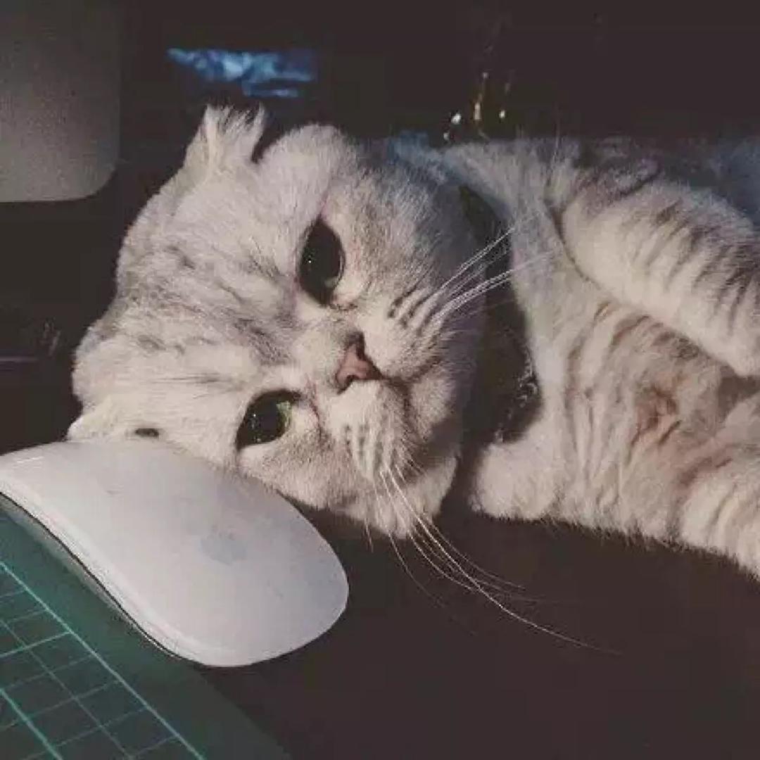 讲不出再见