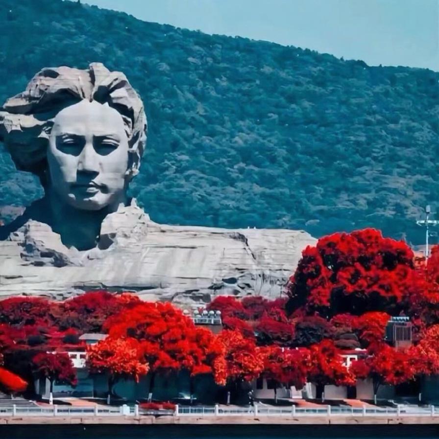朋友们