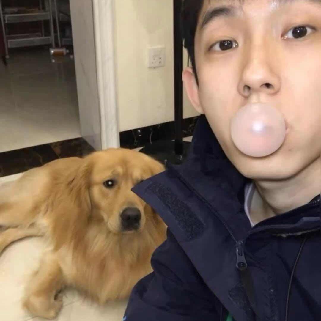 碍你蛋事