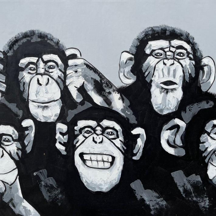 黄薪辰（回关）