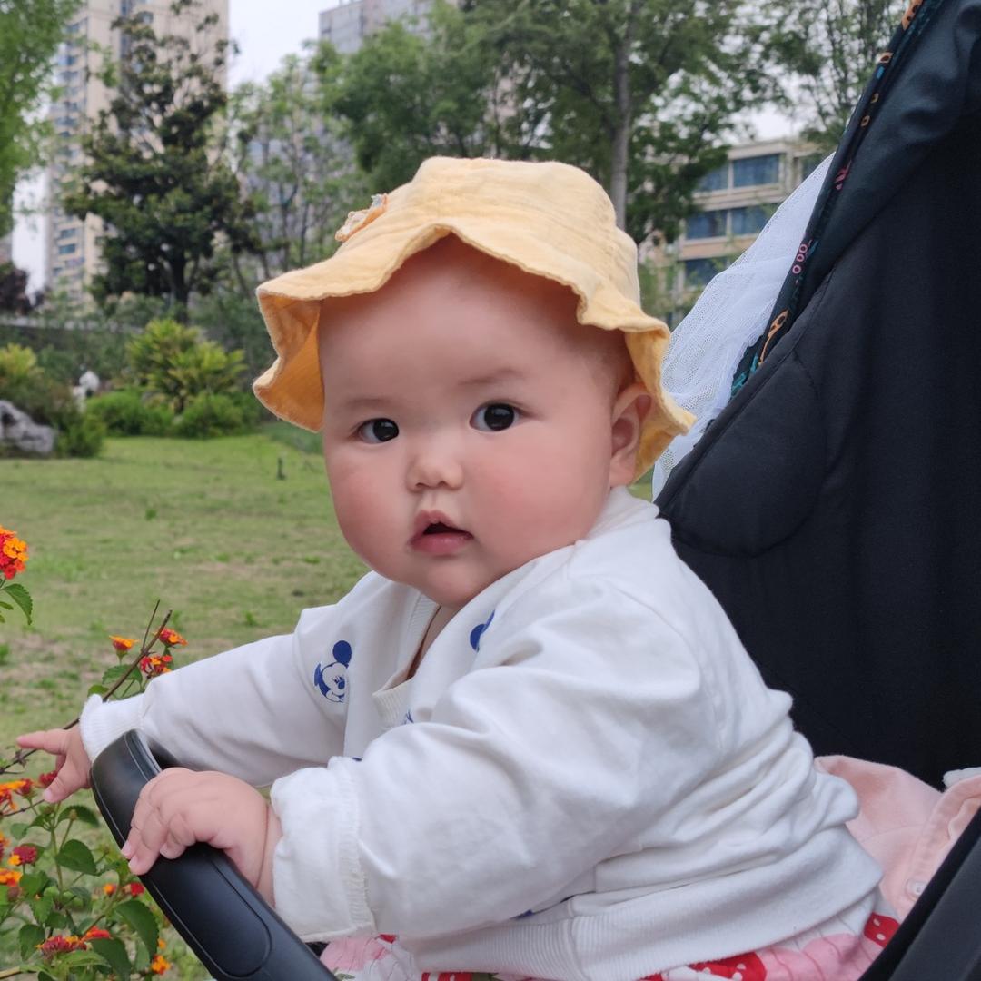 🐯多肉妹妹🐯