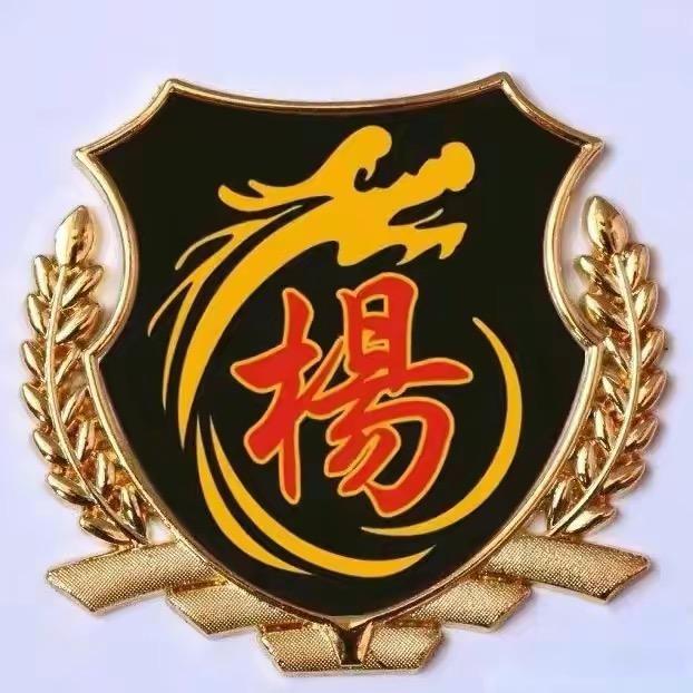 杨氏传承（杨永）