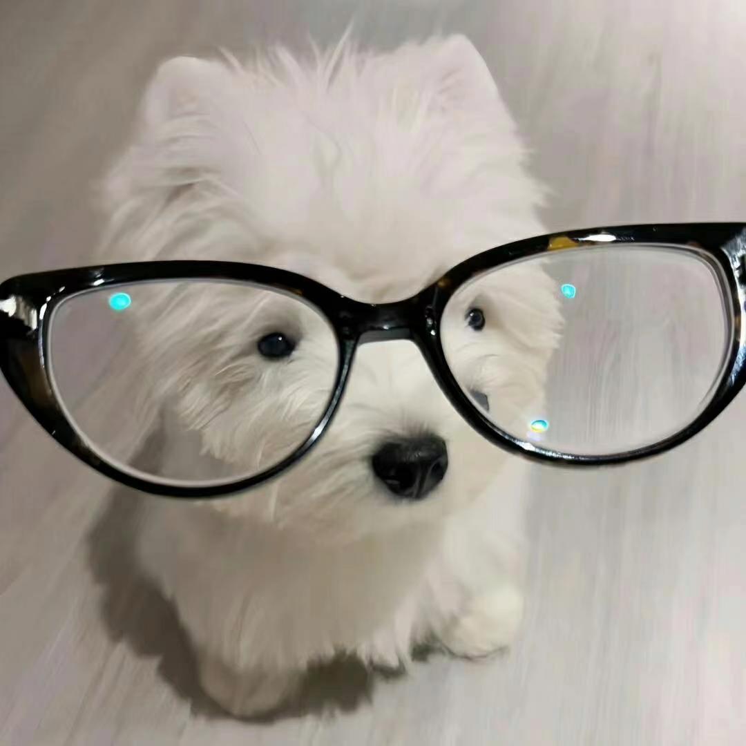^⎚˕⎚^