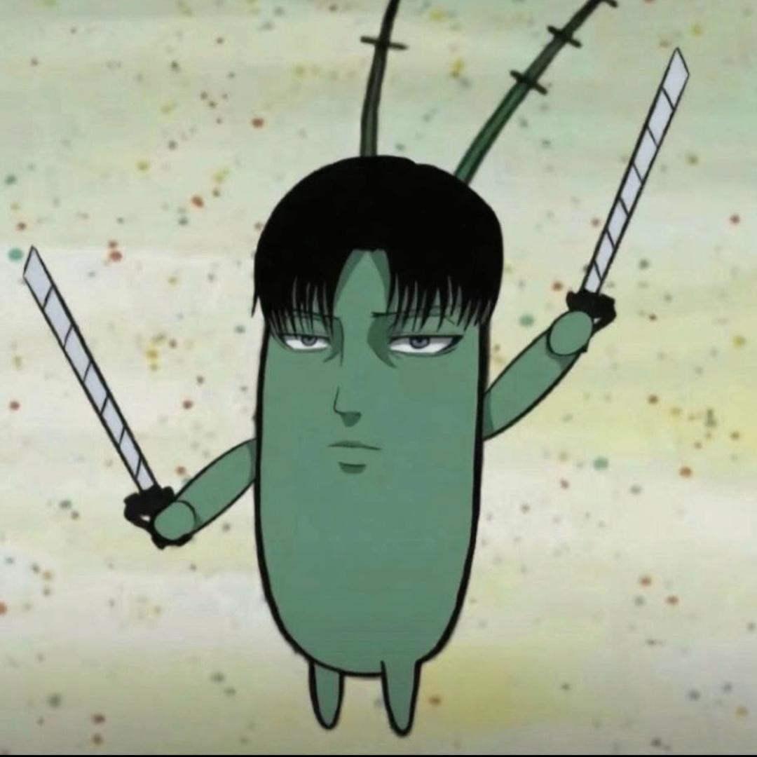 阳芋