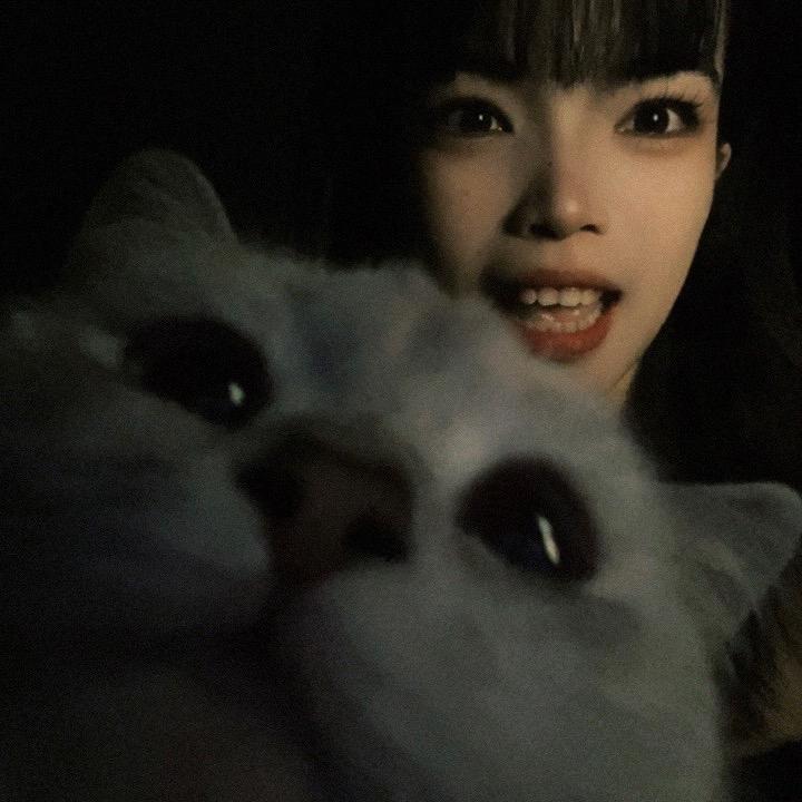 困困乖乖➰