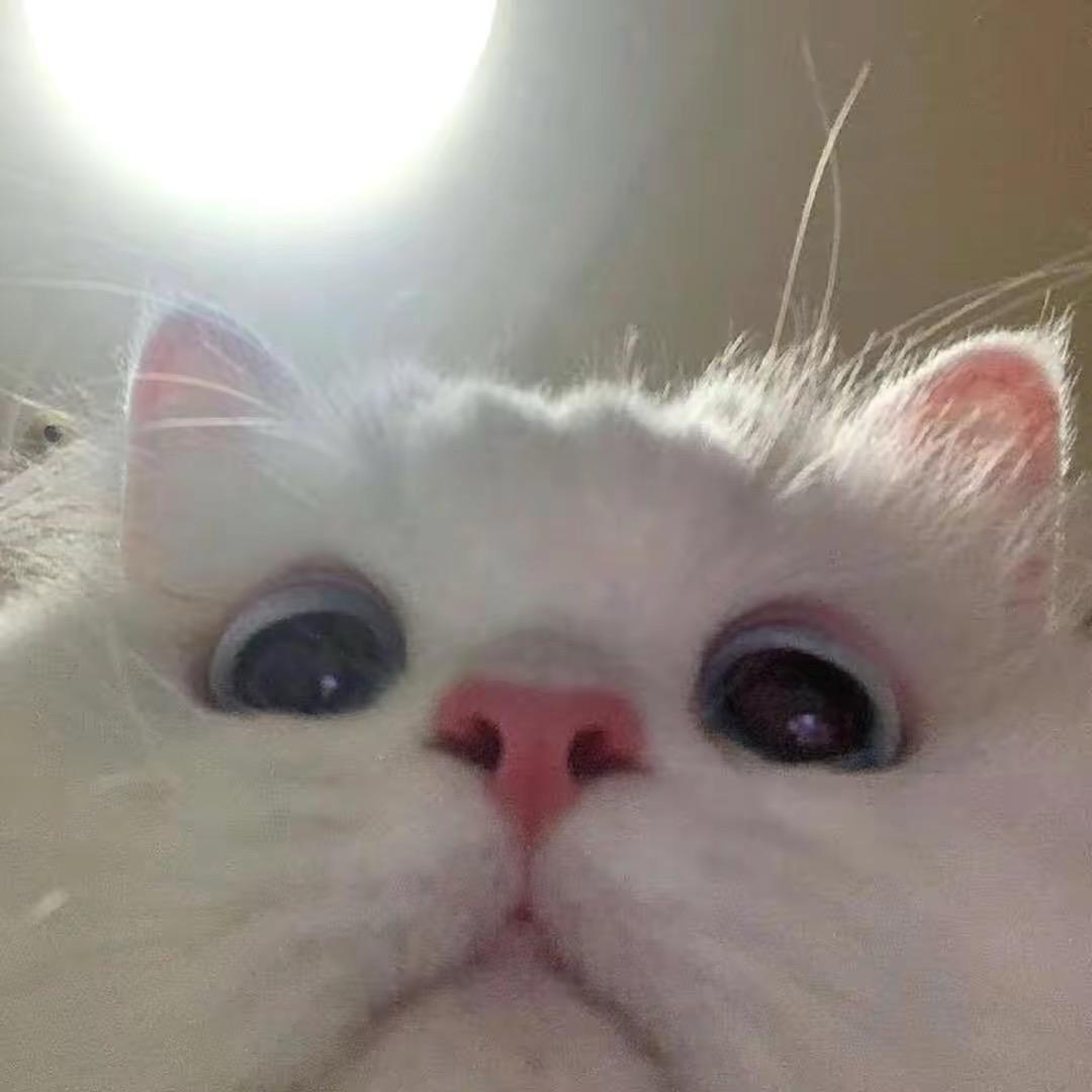 我的ID是南柱赫