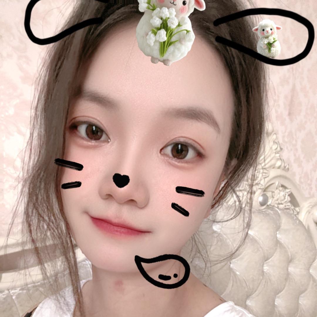 岚宝